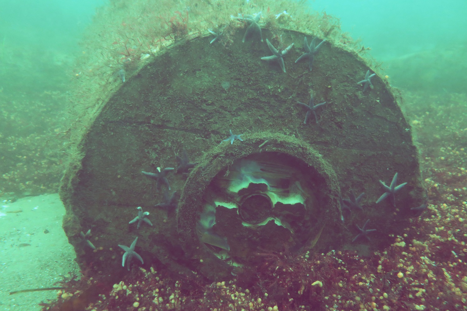 Frontview of depth charge